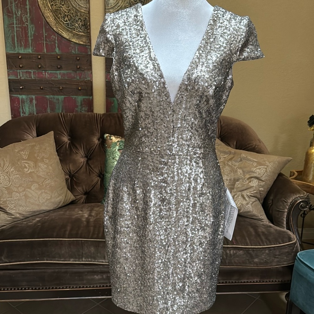 Dress The Population Silver Sequin Dress.